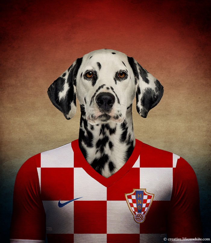 Perros y fútbol