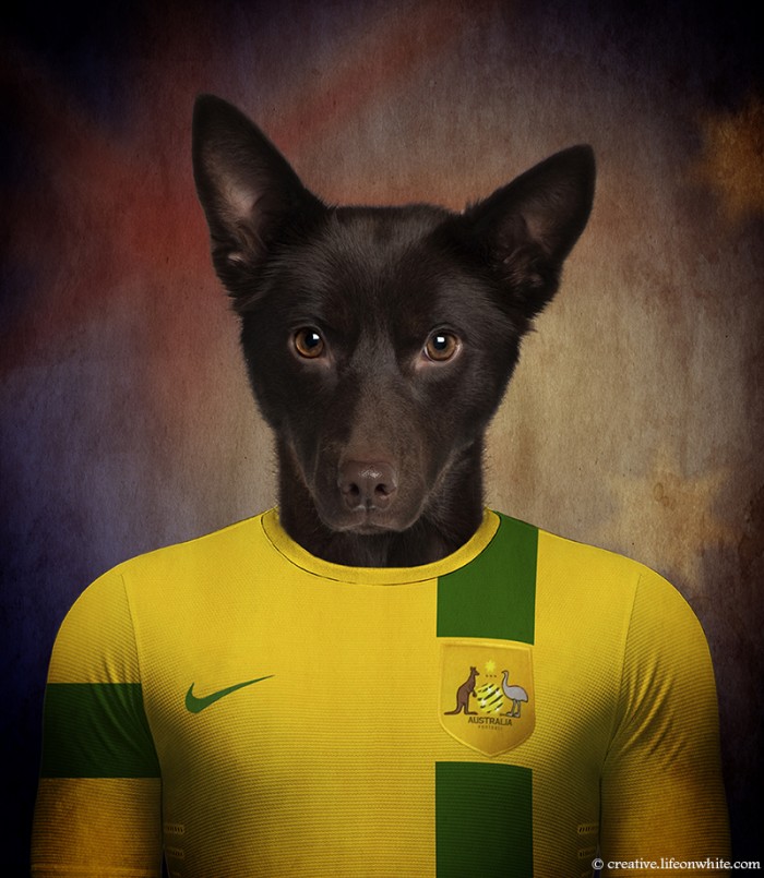 Perros y fútbol