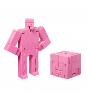 Cubebot micro