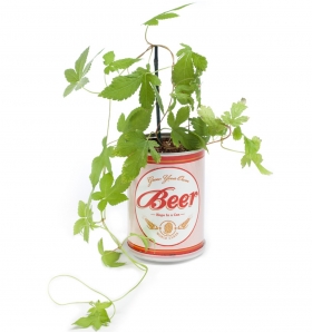 Planta de cerveza enlatada