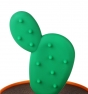 palillero cactus
