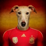 Perros fútbol